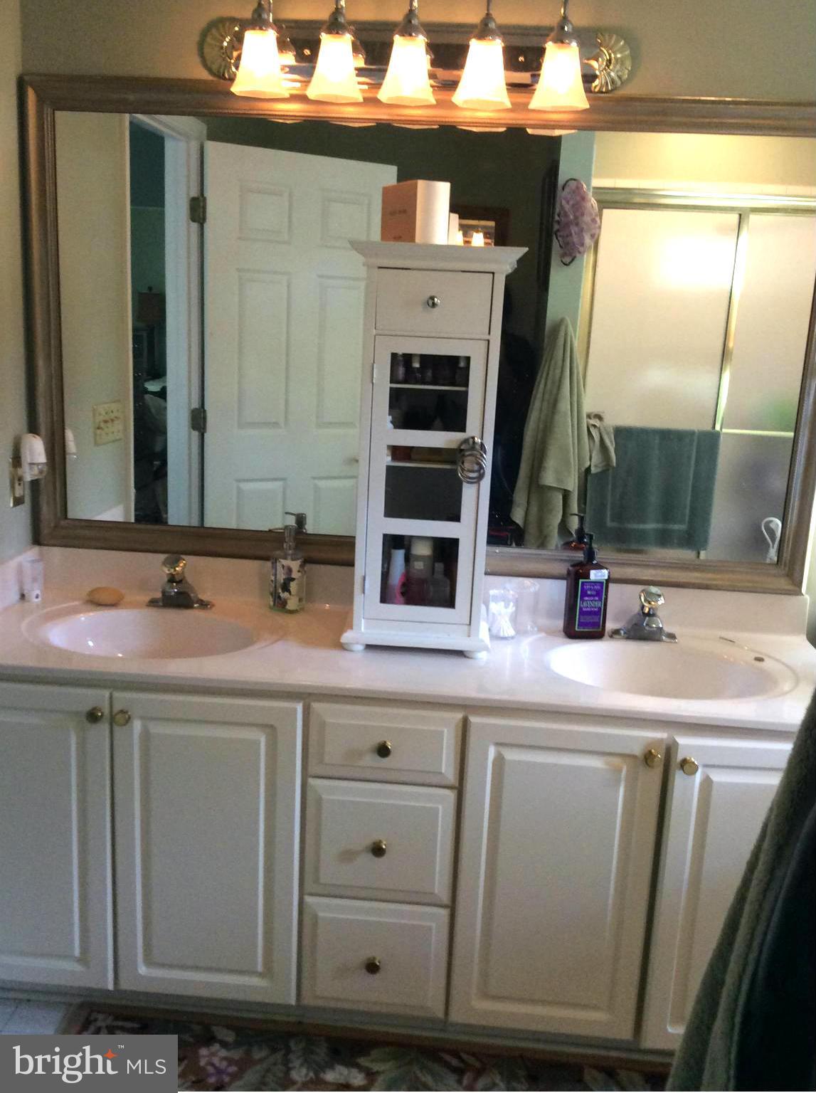 100 Spot Club Road Arnold, MD 21012 - Photo 21 of 23 Bath (Master)