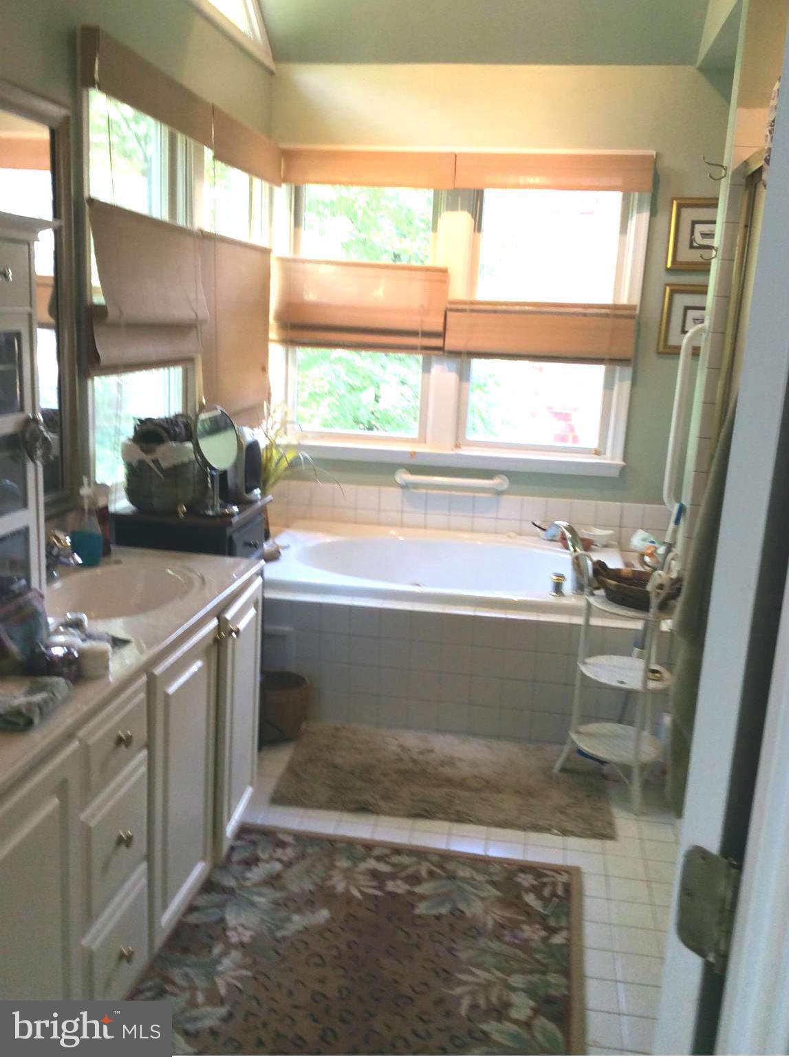 100 Spot Club Road Arnold, MD 21012 - Photo 22 of 23 Bath (Master)