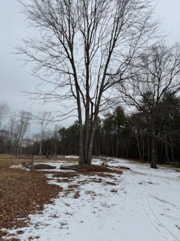 1313 Cape Road Hollis Center, ME 04042 - Photo 4 of 16 IMG_4464