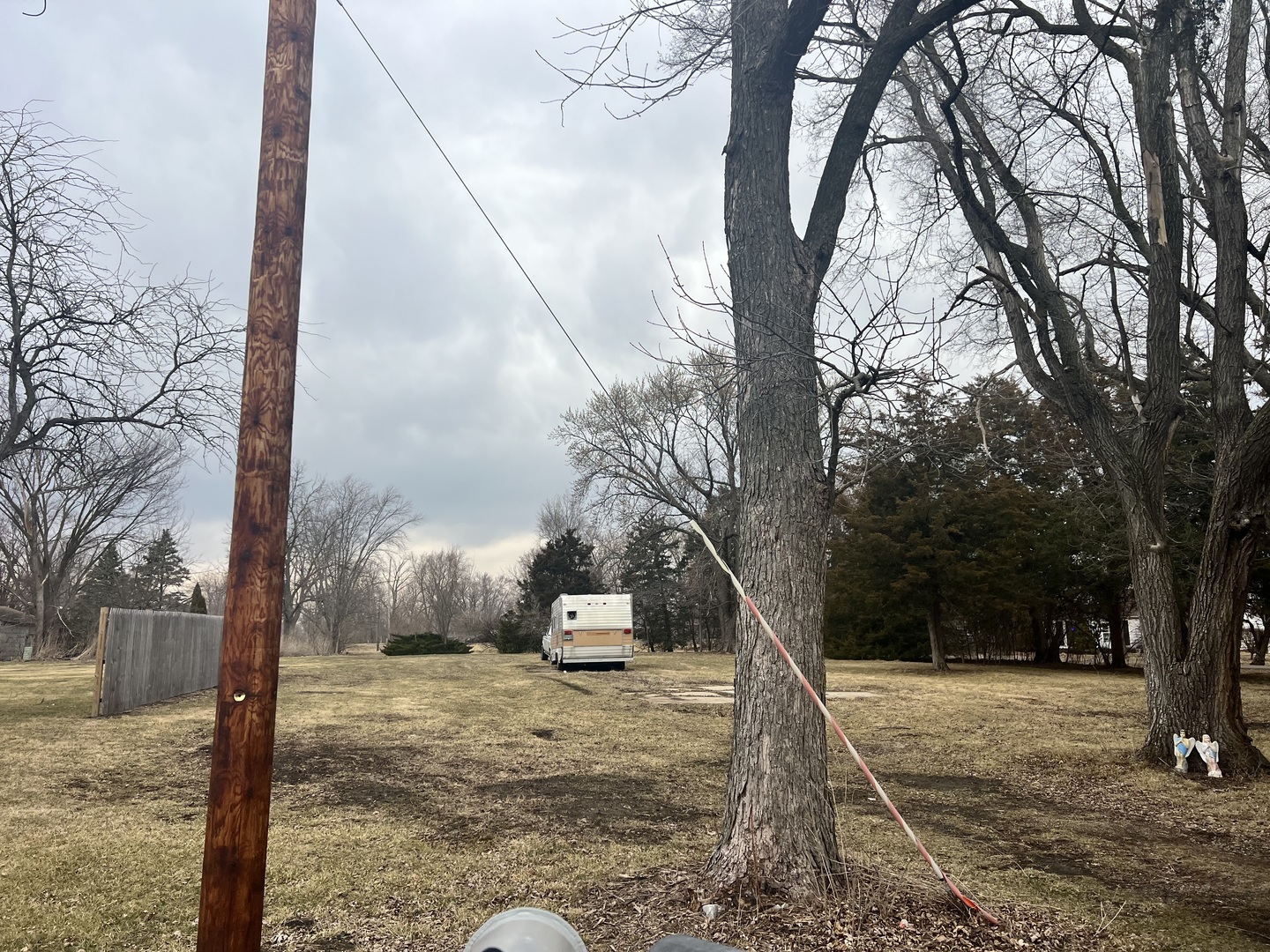 a view of a yard with snow on the tree
