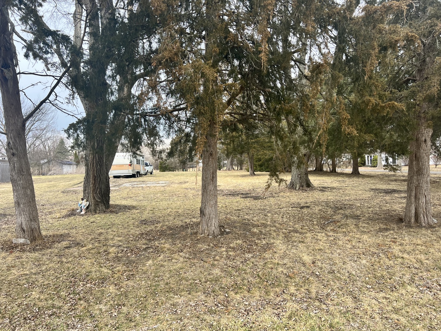 428 East 5th Avenue Rankin, IL 60960 - Photo 4 of 17 a view of outdoor space with trees
