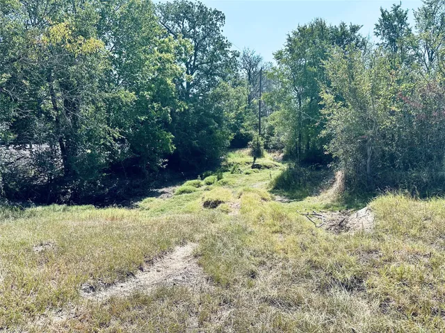 a view of a yard with large trees