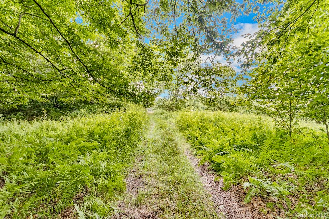 668 Starlight Road Monticello, NY 12701 - Photo 12 of 30 Gallery Image 12