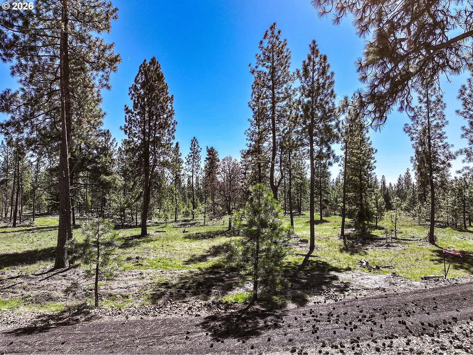 Ginger Way Goldendale, WA 98620 - Photo 14 of 26 a view of outdoor space with trees all around