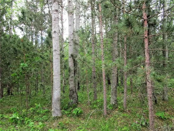$15,000 | Lot 111-112 Bridle Road, Webster, WI 54893