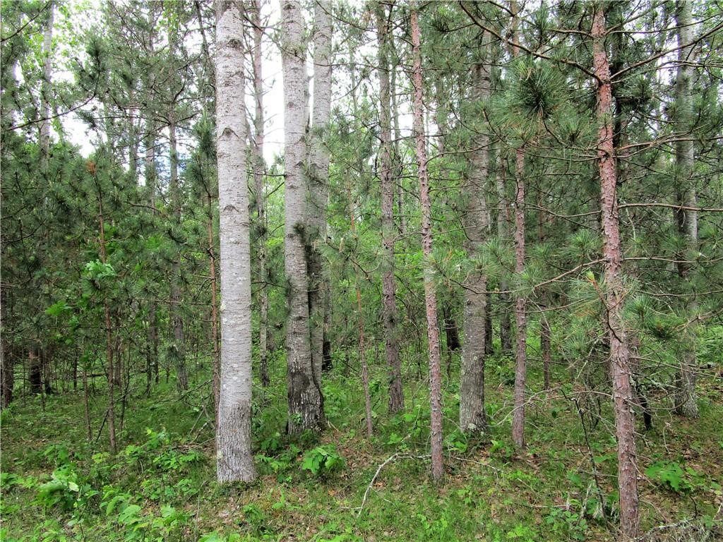 Lot 111-112 Bridle Road Webster, WI 54893 - Photo 1 of 3