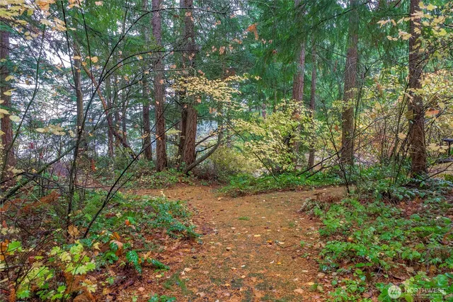 a backyard of a house with lots of green space