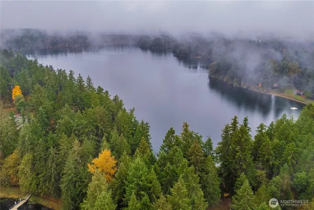 an aerial view of a house with a yard and trees all around