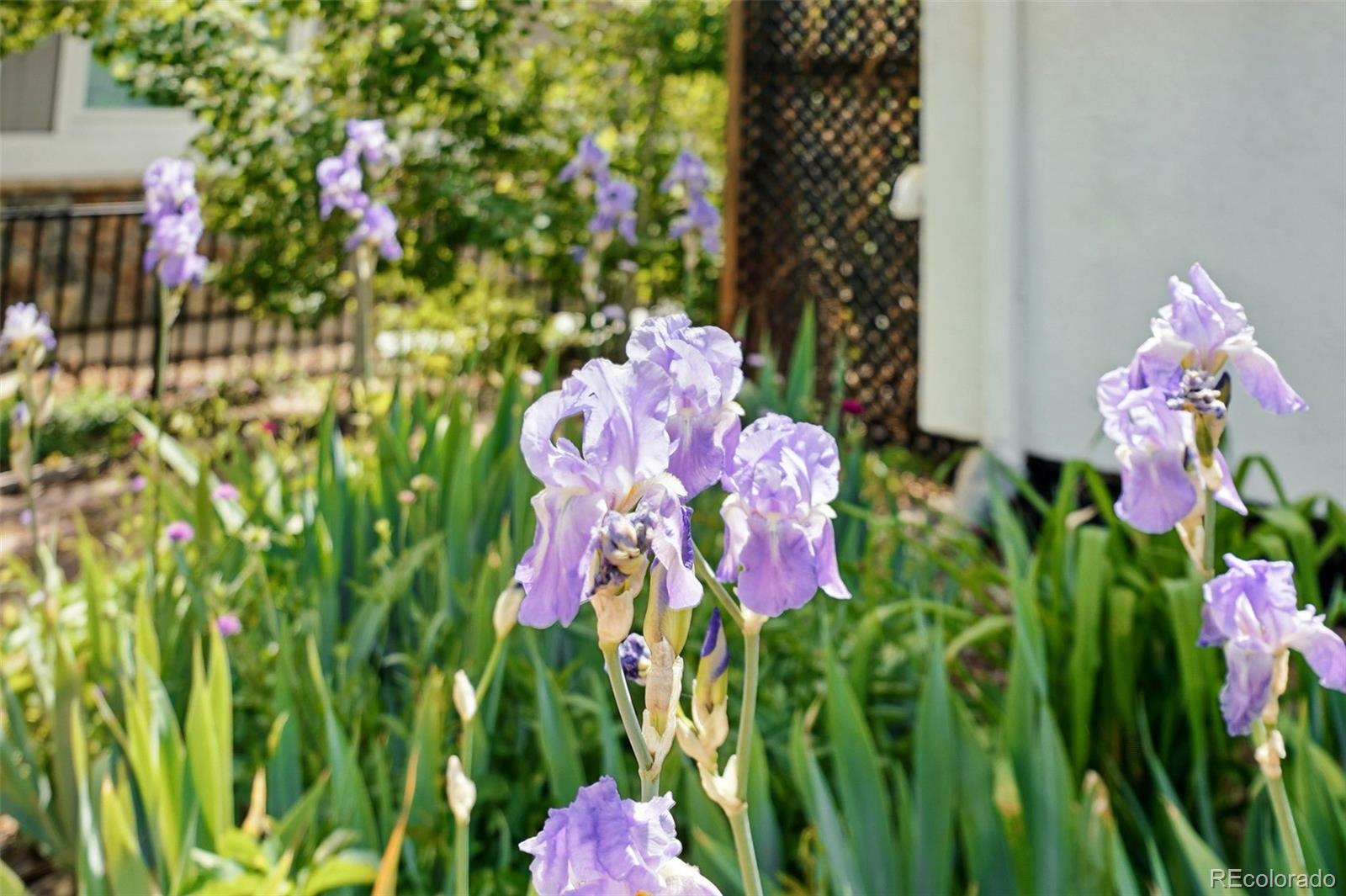 2675 South Eudora Street Denver, CO 80222 - Photo 38 of 49