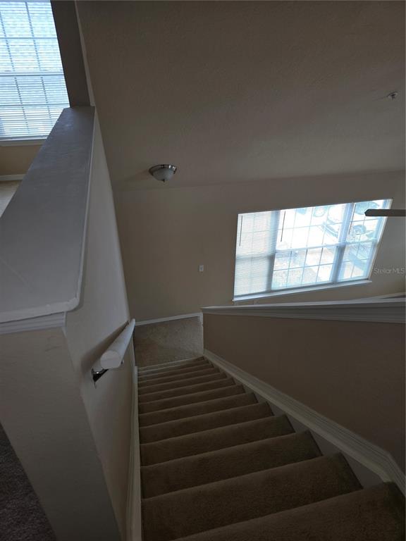 5601 Rosehill Road, Unit 203 Sarasota, FL 34233 - Photo 19 of 24 Gallery Image 19