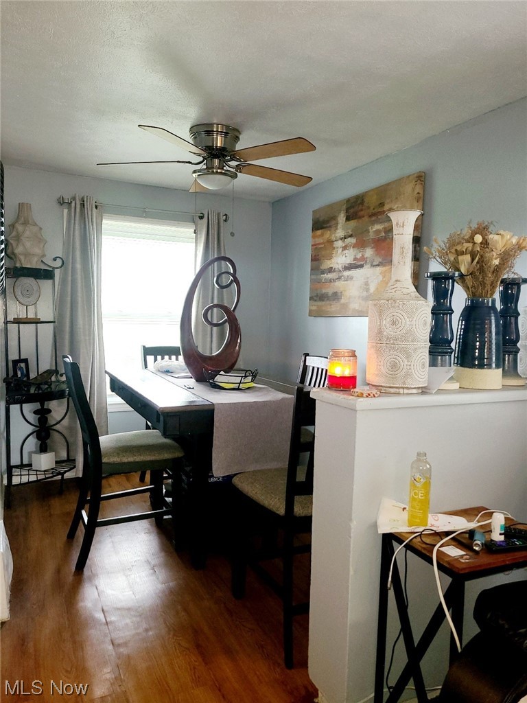 25575 Tungsten Road Euclid, OH 44132 - Photo 19 of 25 Dining room with a ceiling fan