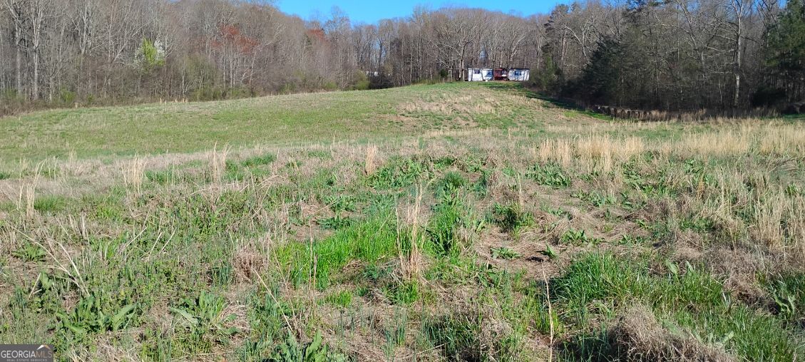2331 Kesler Road Carnesville, GA 30521 - Photo 8 of 50 a view of a yard