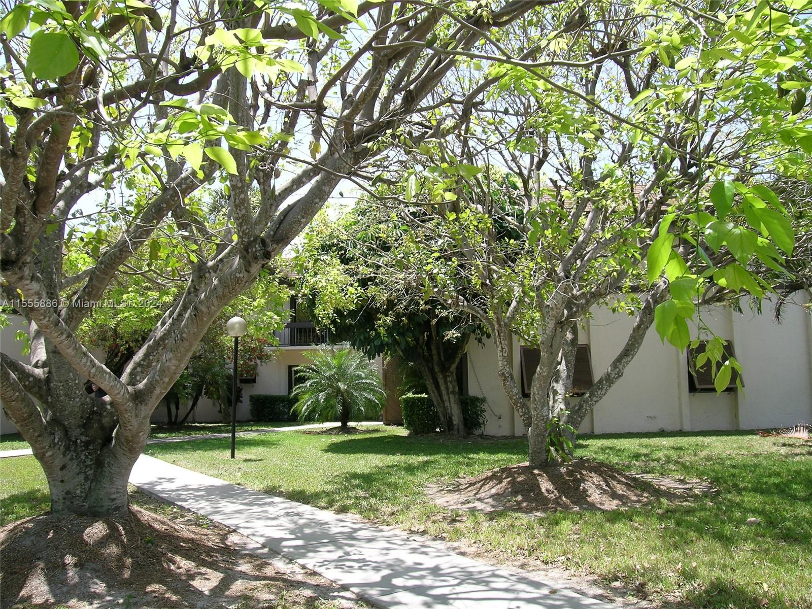 a view of a yard in front of a tree