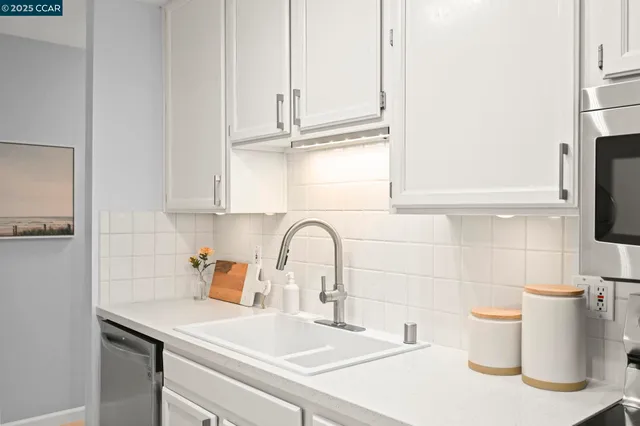 a close view of a sink and a potted plant on a kitchen counter