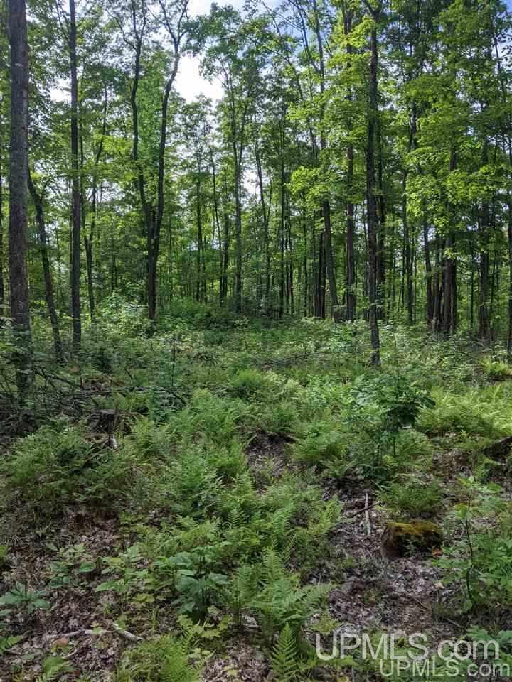 Ffr 4584 Forest Road Iron River, MI 49935 - Photo 7 of 12