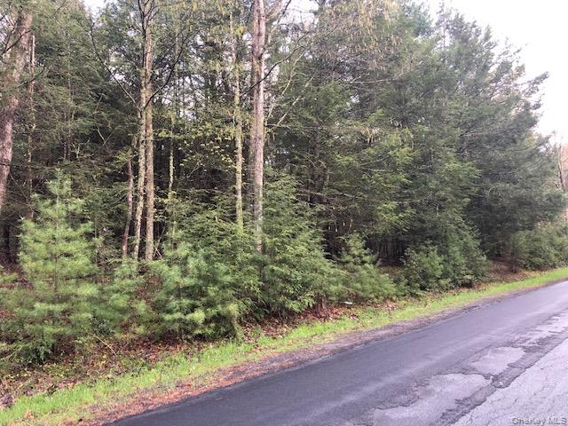 Crawford Road Barryville, NY 12528 - Photo 6 of 8 View of street