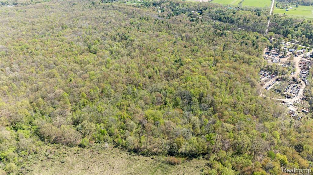 1753 Emerson Road Goodells, MI 48027 - Photo 6 of 15