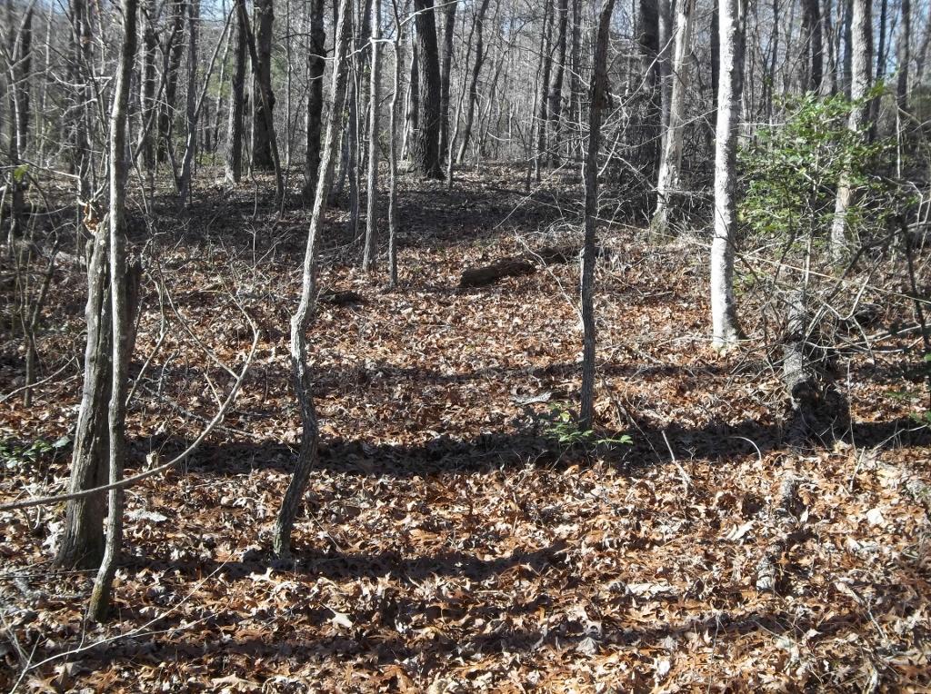 366 Cedar Road Pikeville, TN 37367 - Photo 14 of 18 100_2665 (1024x764)