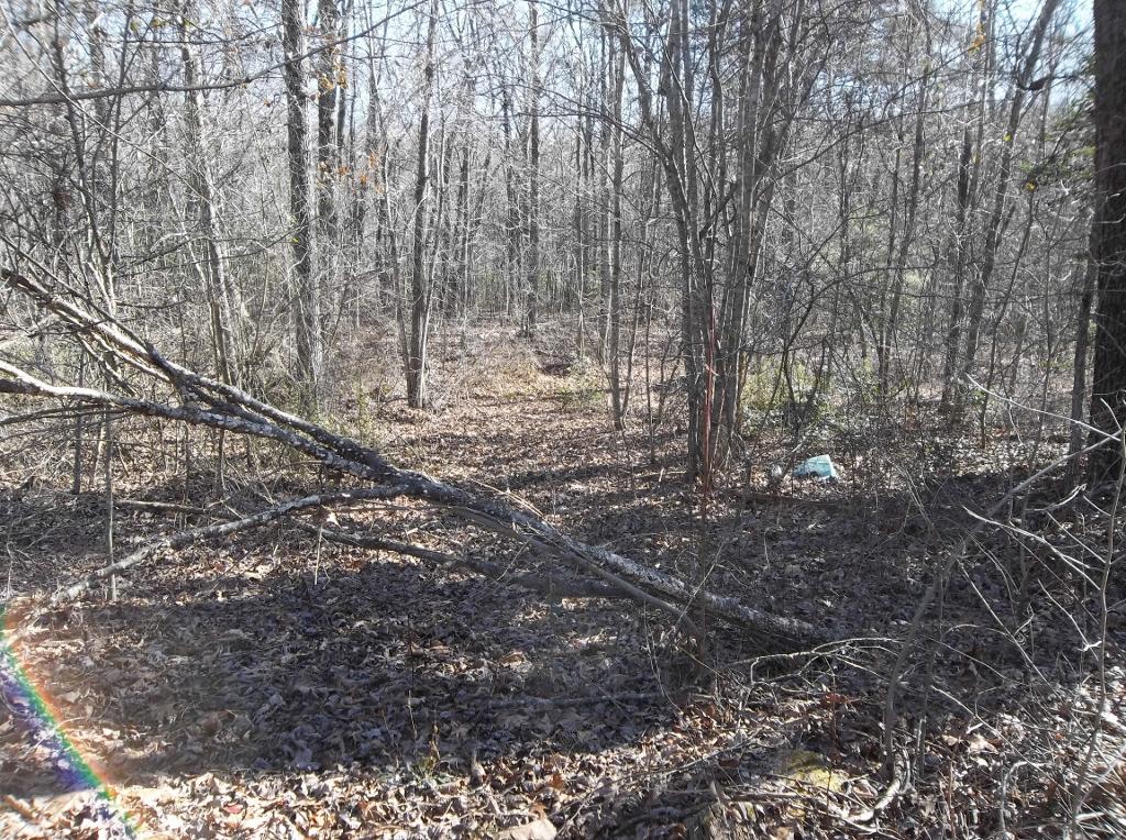 366 Cedar Road Pikeville, TN 37367 - Photo 7 of 18 100_2656 (1024x764)