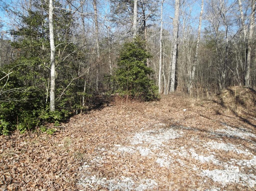 366 Cedar Road Pikeville, TN 37367 - Photo 9 of 18 100_2659 (1024x764)