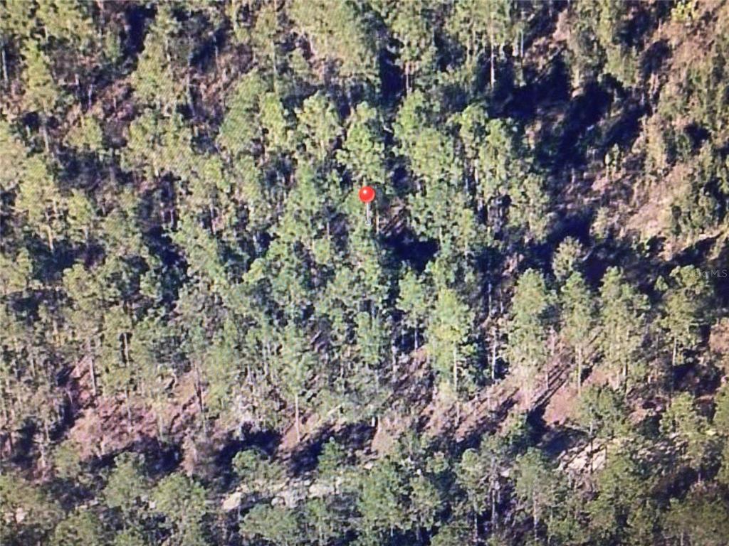0 Southwest 75th Street Ocala, FL 34480 - Photo 5 of 5