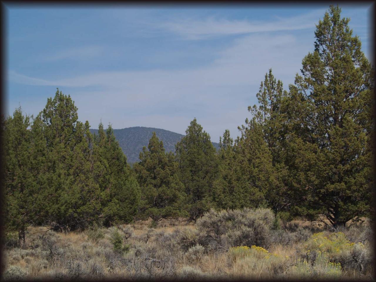 0 T46n / R1w Macdoel, CA 96058 - Photo 5 of 5 Scenic views all around
