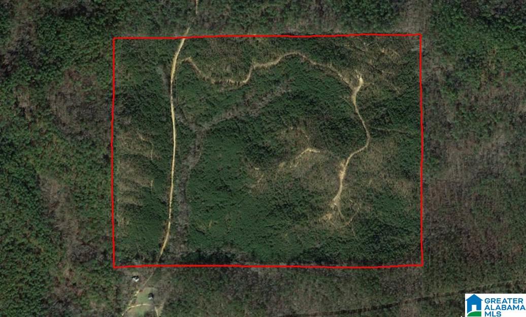 119-acres Double Branch Road, Unit 119 ACRES Marion, AL 36756 - Photo 3 of 26