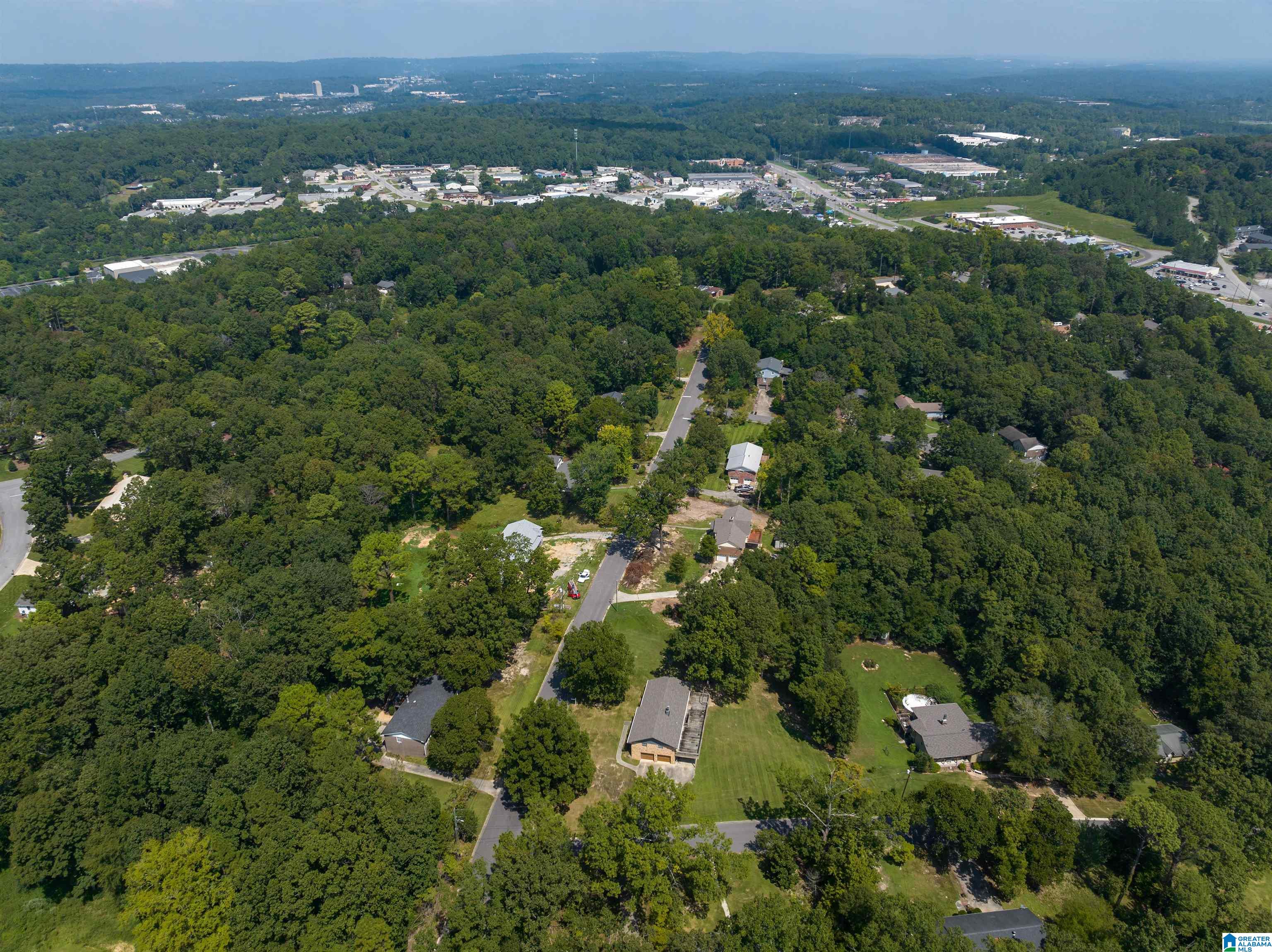1823 Trail Ridge Drive Pelham, AL 35124 - Photo 5 of 43