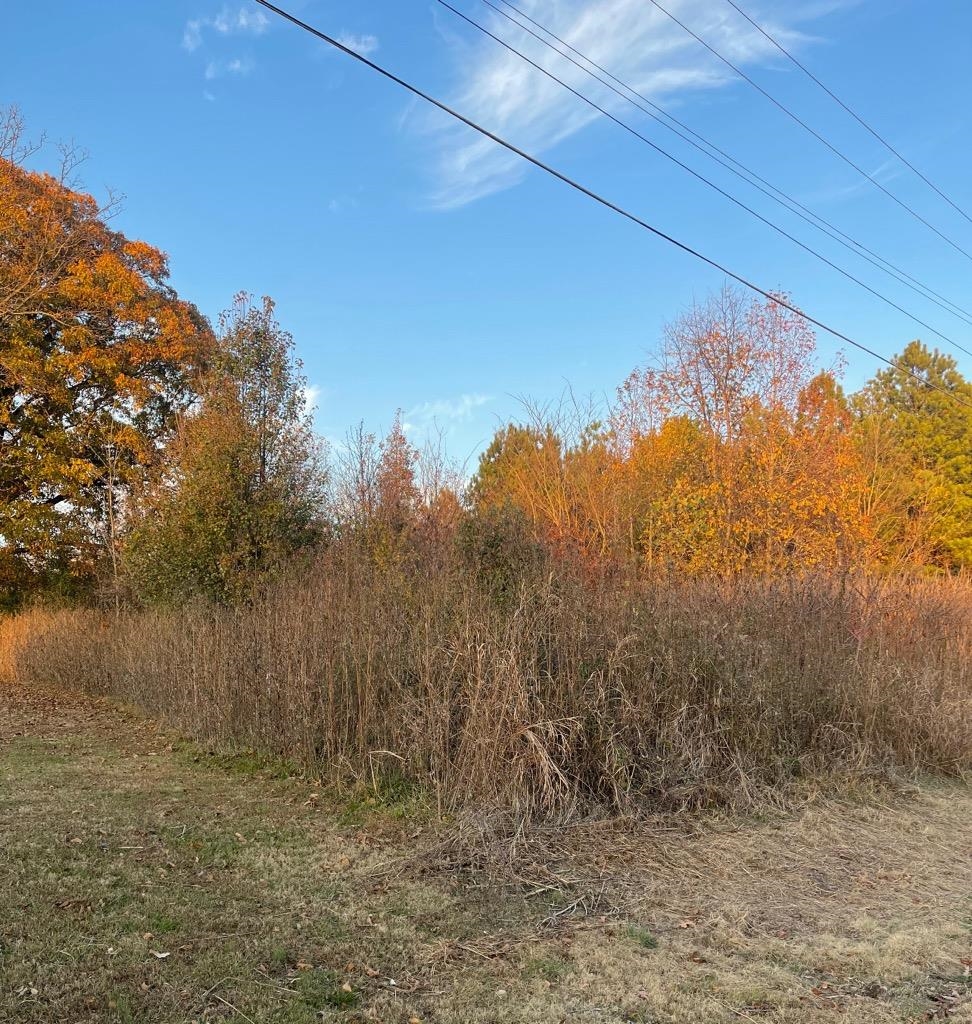 Dryhill Road West Ripley, TN 38063 - Photo 1 of 3 a view of a lake view