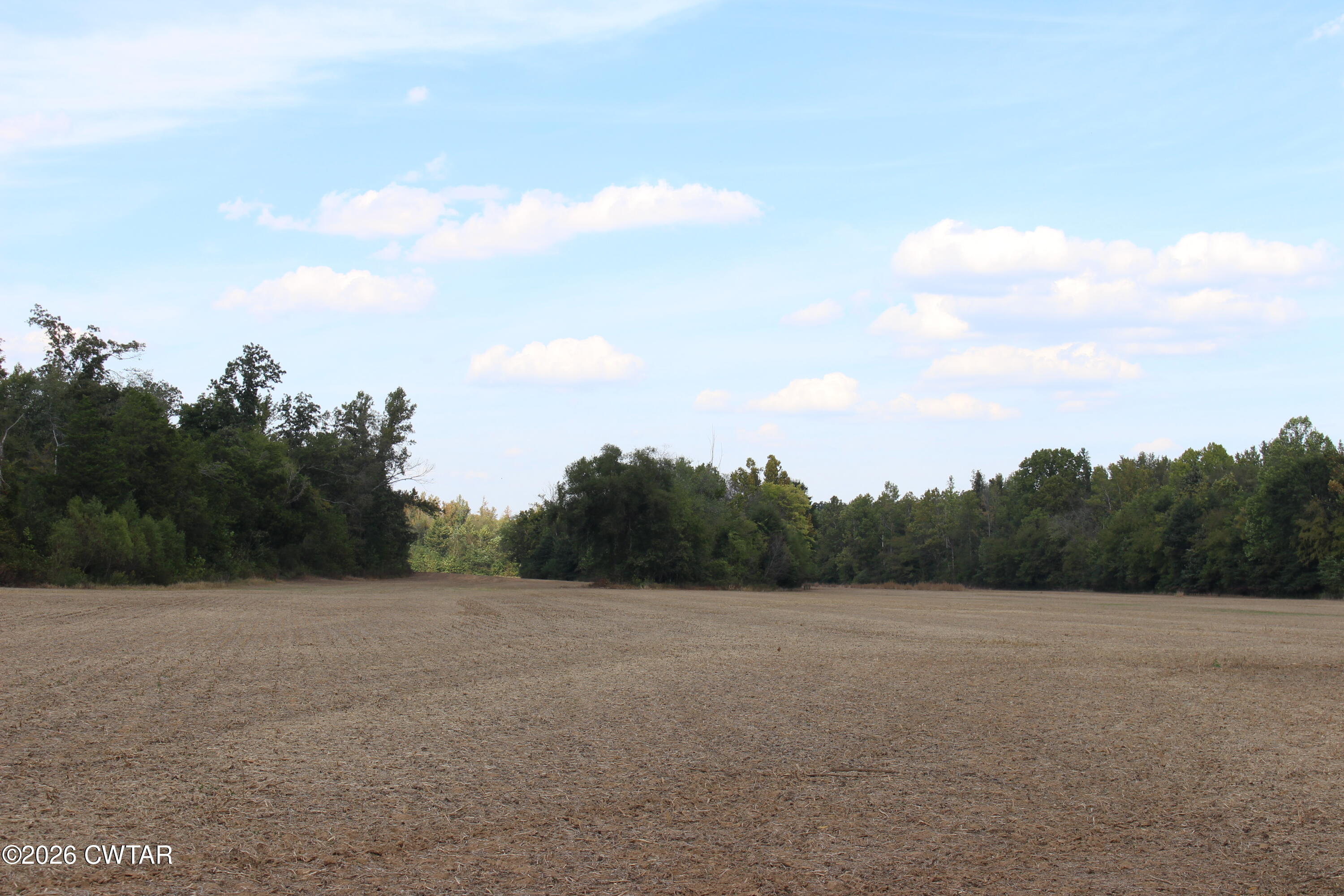 4 Cotton Grove Road Jackson, TN 38305 - Photo 6 of 11 IMG_0150