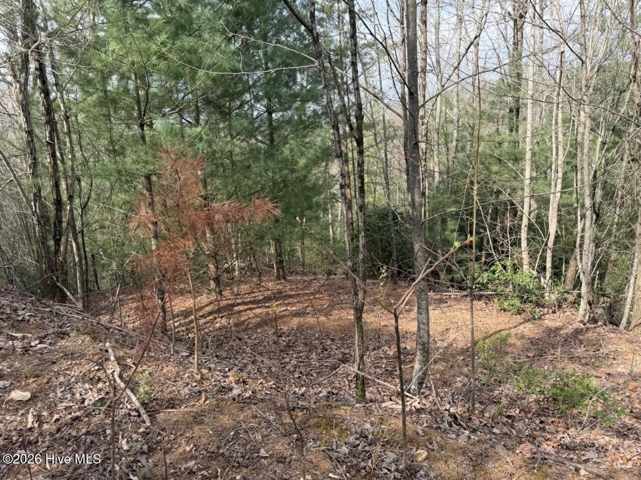0 Ogreeta Road Murphy, NC 28906 - Photo 10 of 47