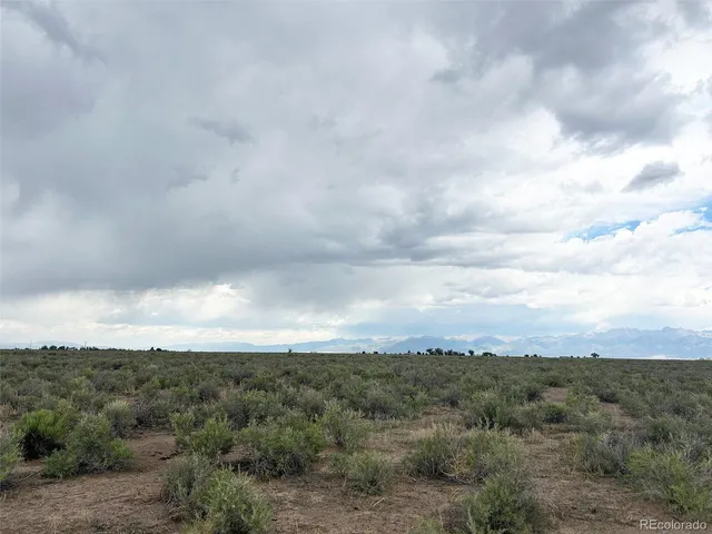 a view of a dry yard in a field