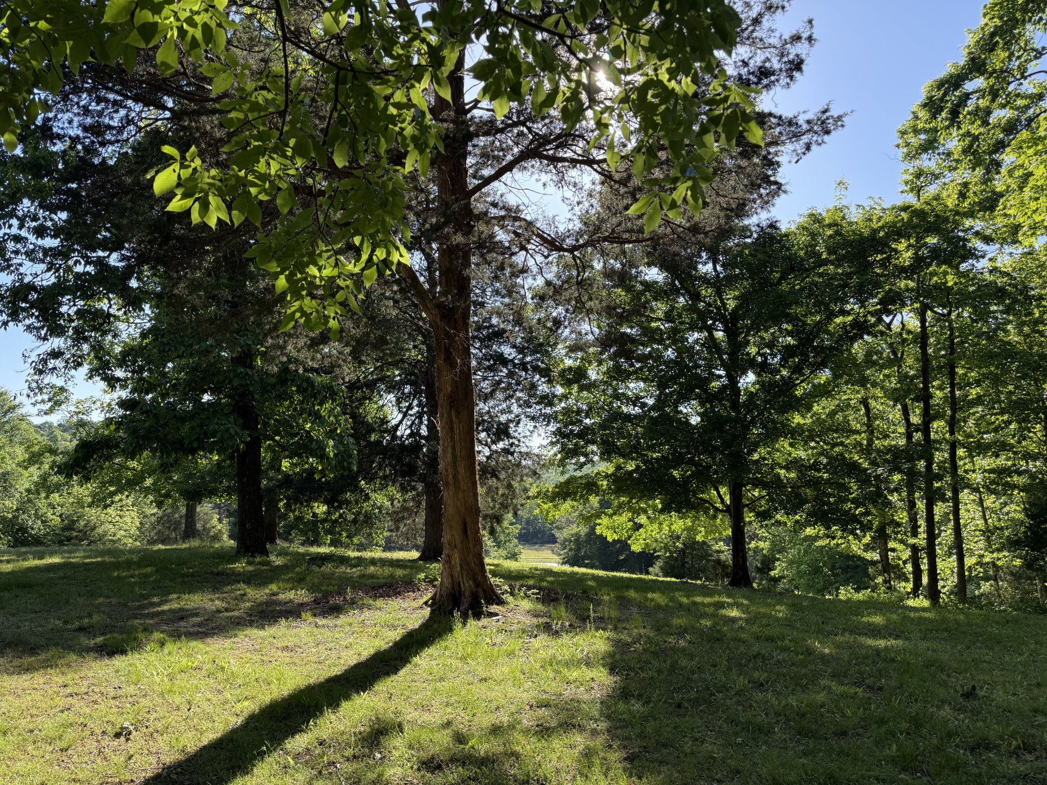 0 Poplar Grove Road McEwen, TN 37101 - Photo 28 of 51 Gallery Image 28