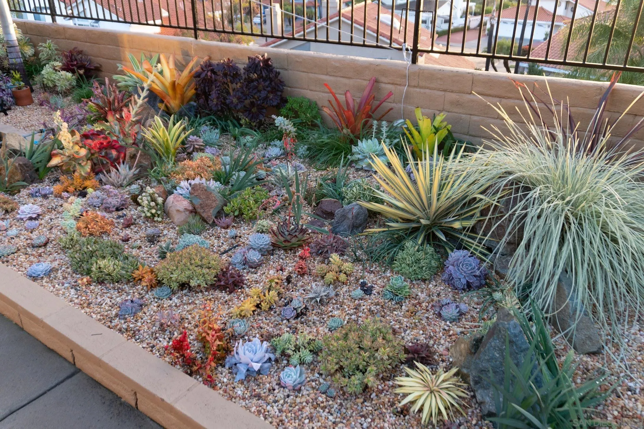 5167 Avenida De La Plata Oceanside, CA 92057 - Photo 44 of 53 a plant that is in front of flowers