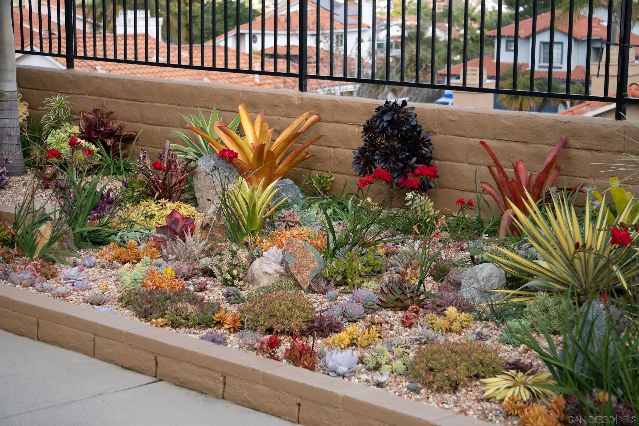 5167 Avenida De La Plata Oceanside, CA 92057 - Photo 45 of 53 a picture of flowers and the wooden fence