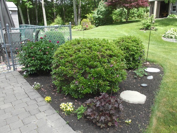 369 Rochdale Street Auburn, MA 01501 - Photo 8 of 29 Gallery Image 8