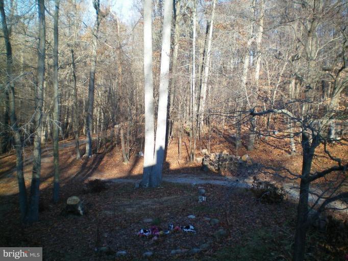 6200 Solomons Island Road Dunkirk, MD 20754 - Photo 12 of 22 Deck - View from