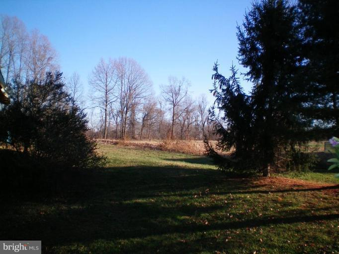 6200 Solomons Island Road Dunkirk, MD 20754 - Photo 13 of 22 Back yard
