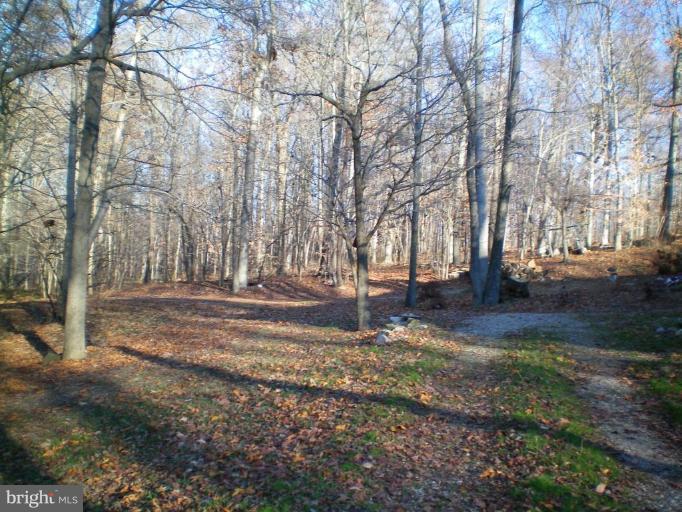 6200 Solomons Island Road Dunkirk, MD 20754 - Photo 19 of 22 Wooded View / Acreage