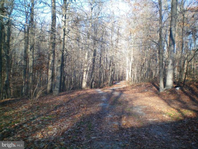 6200 Solomons Island Road Dunkirk, MD 20754 - Photo 20 of 22 Wooded View / Acreage 2