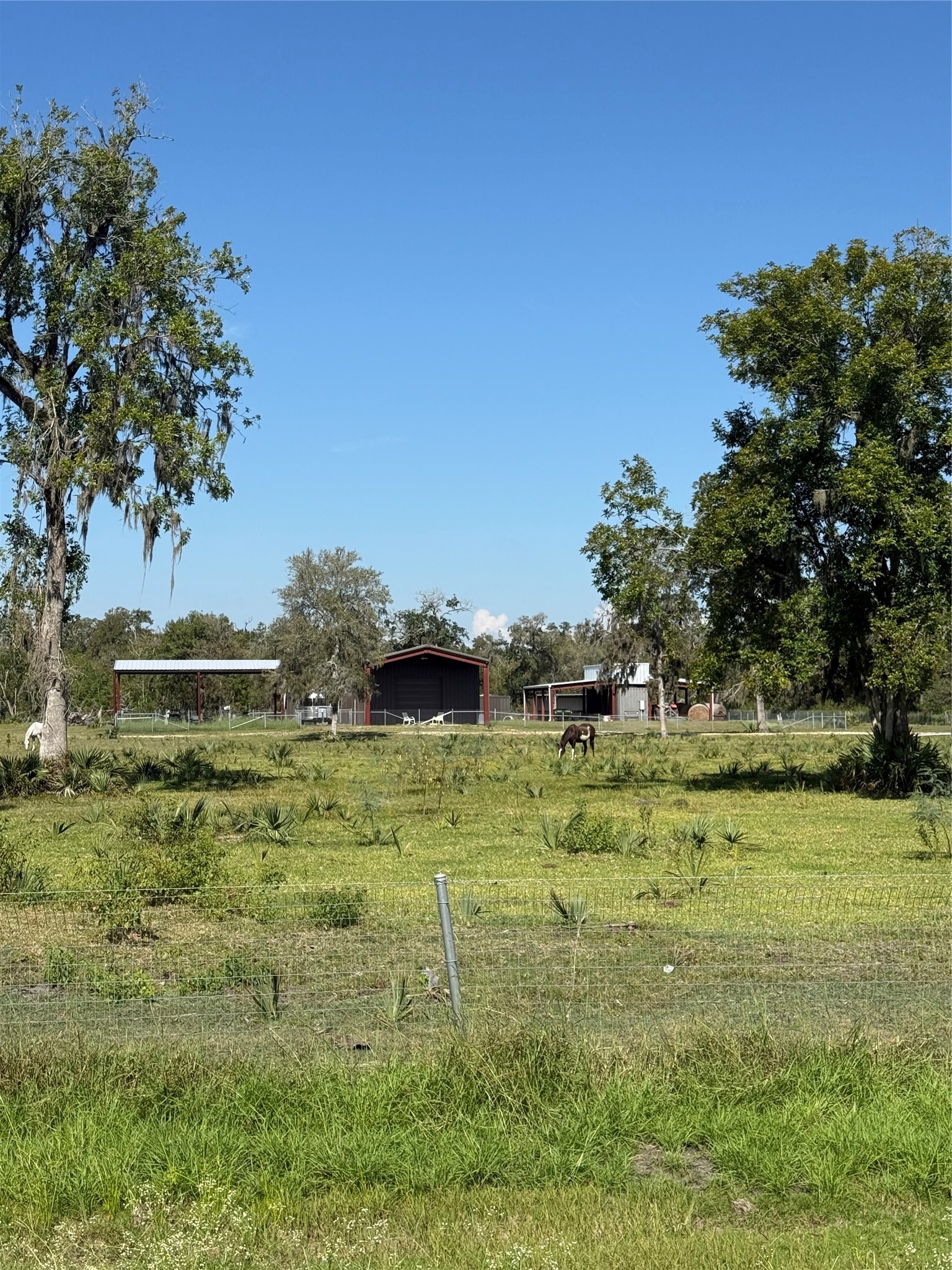 8178 Cr-860 Sweeny, TX 77480 - Photo 24 of 25