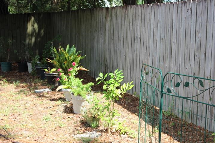 4252 Croydon Road Pensacola, FL 32514 - Photo 16 of 19 Gallery Image 16