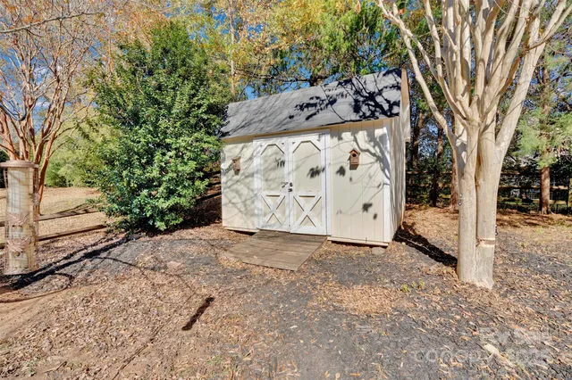 a view of a tree with a snow on the side of the road