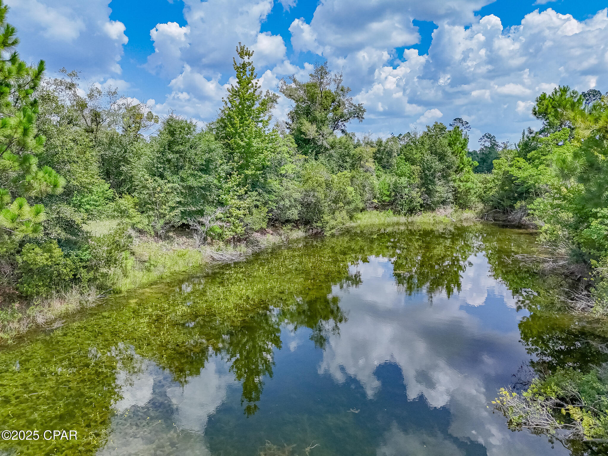 19618 Highway 231 Fountain, FL 32438 - Photo 71 of 81