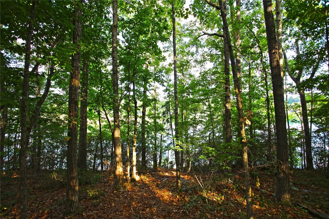 Lot 42 Retreat Pointe Road West Union, SC 29696 - Photo 15 of 38
