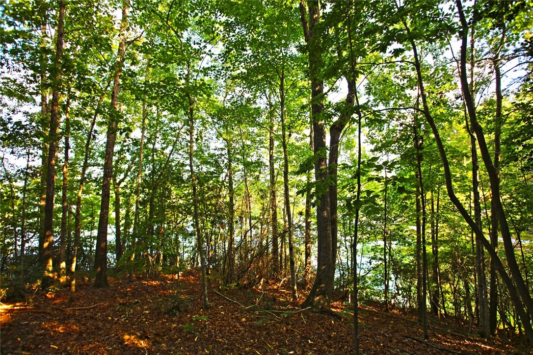 Lot 42 Retreat Pointe Road West Union, SC 29696 - Photo 17 of 38