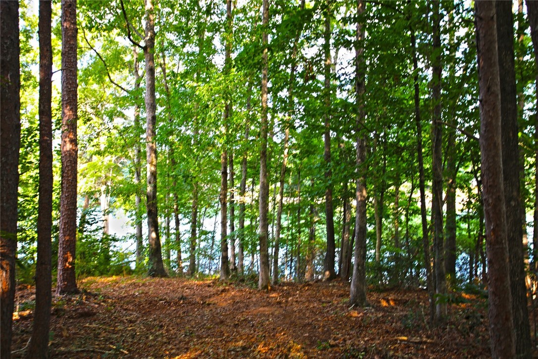 Lot 42 Retreat Pointe Road West Union, SC 29696 - Photo 18 of 38
