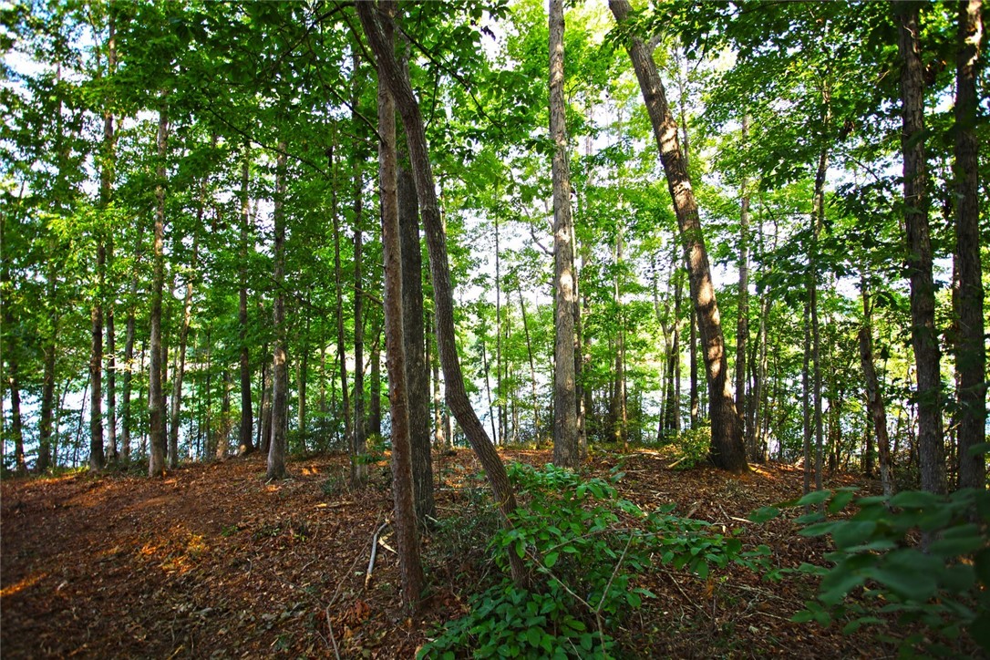 Lot 42 Retreat Pointe Road West Union, SC 29696 - Photo 19 of 38