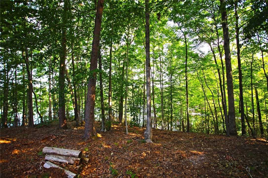 Lot 42 Retreat Pointe Road West Union, SC 29696 - Photo 20 of 38