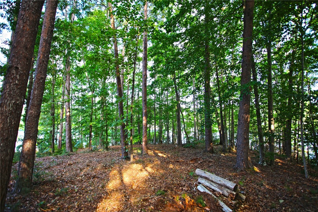 Lot 42 Retreat Pointe Road West Union, SC 29696 - Photo 21 of 38
